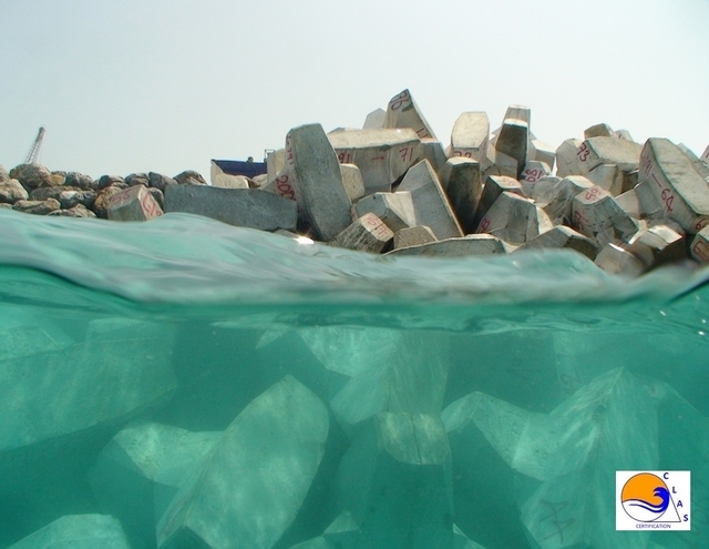 ACCROPODE™ , accropode, ACCROPODE™II, le bloc ACCROPODE™ , ACCROPODE™ block