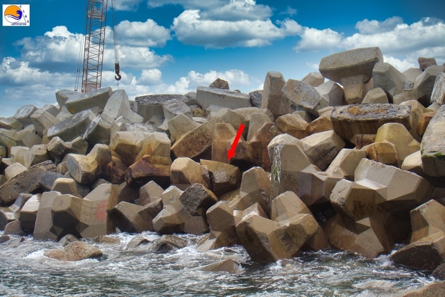 ACCROPODE™ , accropode, ACCROPODE™II, le bloc ACCROPODE™ , ACCROPODE™ block