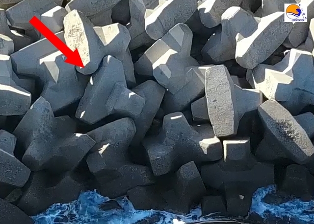 ACCROPODE™ , accropode, ACCROPODE™II, le bloc ACCROPODE™ , ACCROPODE™ block