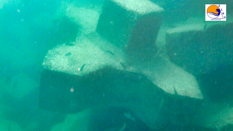 Xbloc ® placement pose expertise certification clas breakwater solution