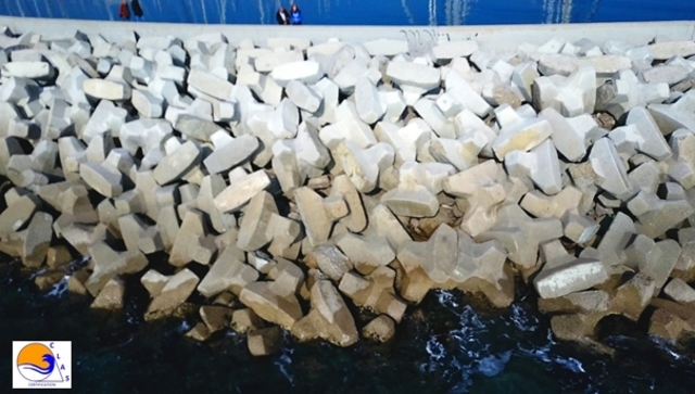 ACCROPODE™ , accropode, ACCROPODE™II, le bloc ACCROPODE™ , ACCROPODE™ block