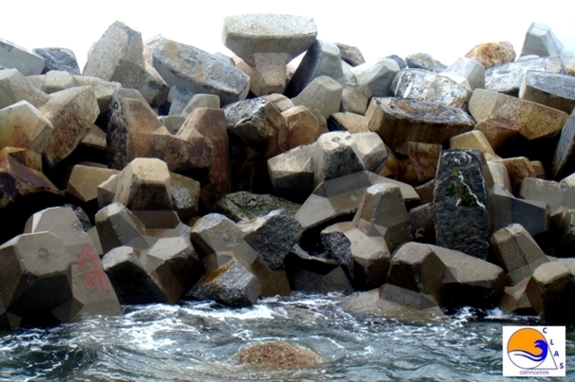 ACCROPODE™ , accropode, ACCROPODE™II, le bloc ACCROPODE™ , ACCROPODE™ block