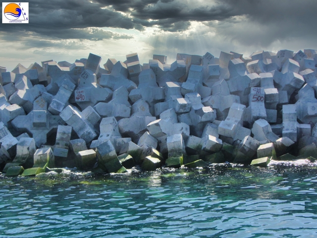 Xbloc® XBLOC CLAS placement certification