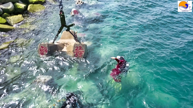 ACCROPODE™II, ACCROPODE™ , bloc ACCROPODE™II placement certification expertise assistance