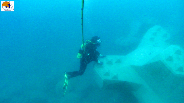 ACCROPODE™II, ACCROPODE, certification ACCROPODE, expertise ACCROPODE , placement ACCROPODE , pose ACCROPODE