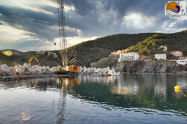 ACCROPODE™II,  ACCROPODE,   certification ACCROPODE, expertise ACCROPODE , placement ACCROPODE , pose ACCROPODE