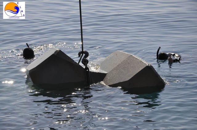 ACCROPODE™II , ACCROPODE , ACCROPODE assistance pose expertise ACCROPODE certification