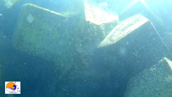 ACCROPODE™II ACCROPODE certification approbation clas