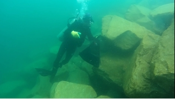 ACCROPODE™II ACCROPODE certification approbation clas