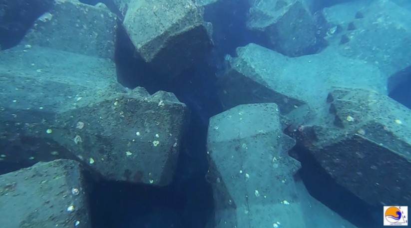 ACCROPODE imbrication bad