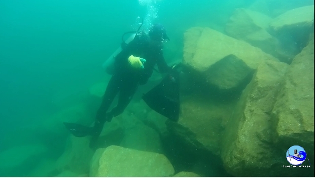 ACCROPODE™II ACCROPODE certification approbation clas