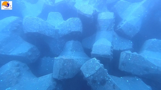 ACCROPODE , ACCROPODE™II , certification , risk assessment , expertise , etude de risque , breakwater solution , clas