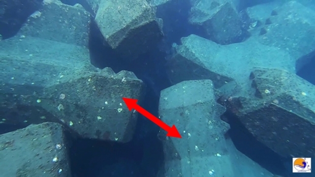 ACCROPODE , ACCROPODE™II , certification , risk assessment , expertise , etude de risque , breakwater solution , clas