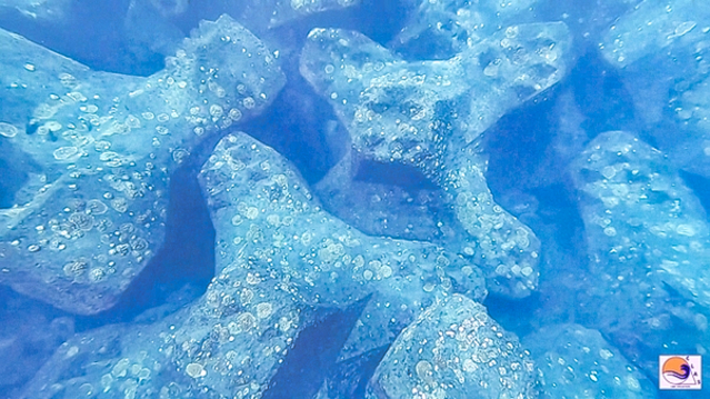 ACCROPODE , ACCROPODE™II , certification , risk assessment , expertise , etude de risque , breakwater solution , clas