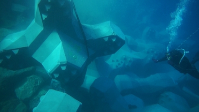 ACCROPODE™II , ACCROPODE , ACCROPODE assistance pose expertise ACCROPODE certification