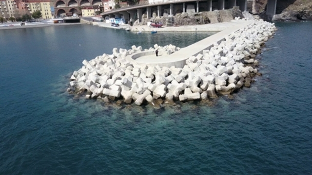 ACCROPODE™II , ACCROPODE , ACCROPODE assistance pose expertise ACCROPODE certification