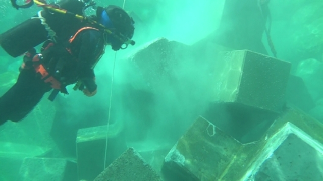 ACCROPODE™II , ACCROPODE , ACCROPODE assistance pose expertise ACCROPODE certification